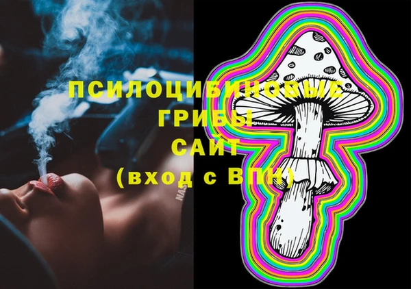 крисы Каменка