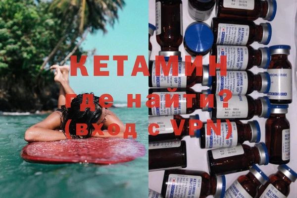 сатива Каменногорск