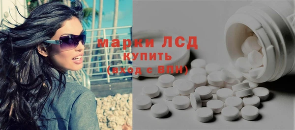 сатива Каменногорск