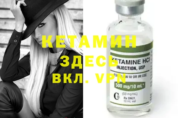сатива Каменногорск