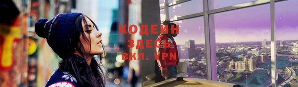 крисы Каменка