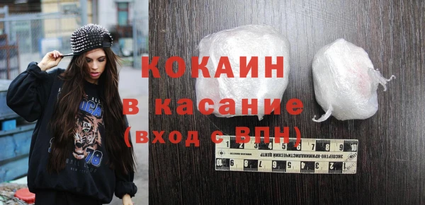 крисы Каменка