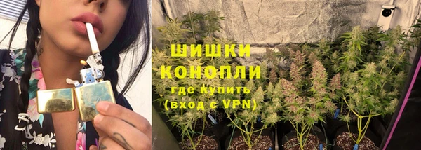 сатива Каменногорск