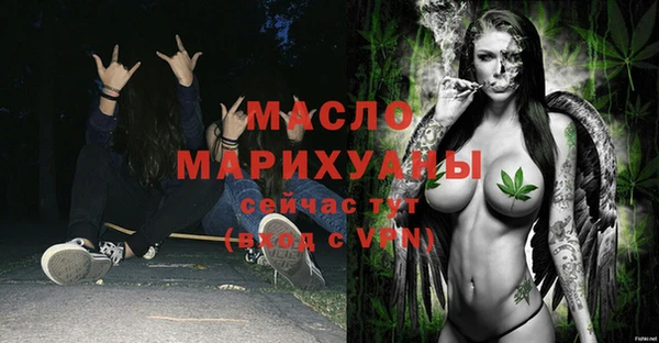 сатива Каменногорск
