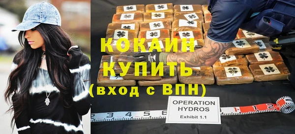 крисы Каменка
