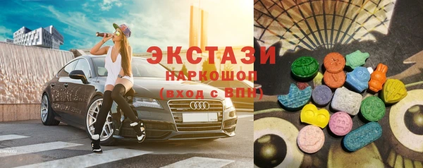 крисы Каменка