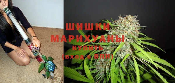 крисы Каменка