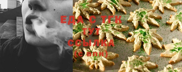 крисы Каменка