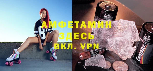 крисы Каменка
