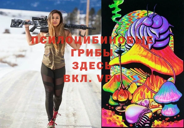 крисы Каменка
