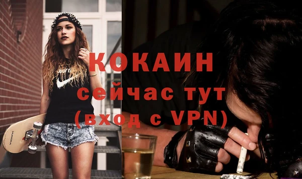 крисы Каменка