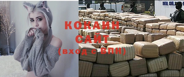 сатива Каменногорск