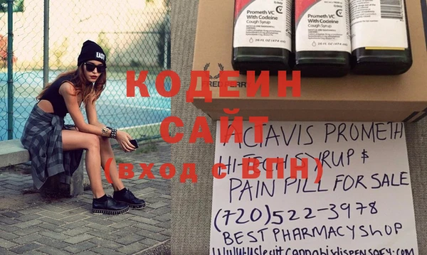 крисы Каменка