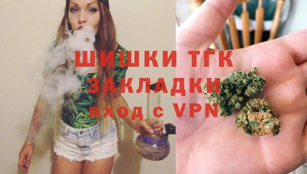 крисы Каменка