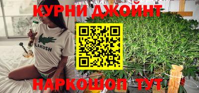 индика Михайловка