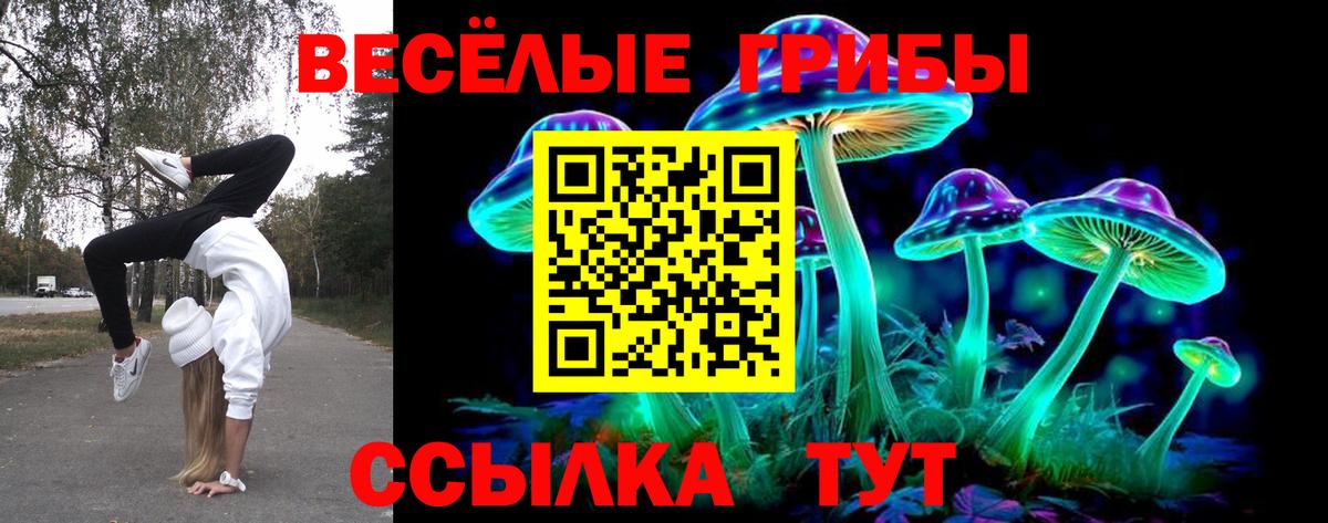 Смоленск  Галлюциногенные грибы мицелий  Вход с VPN 